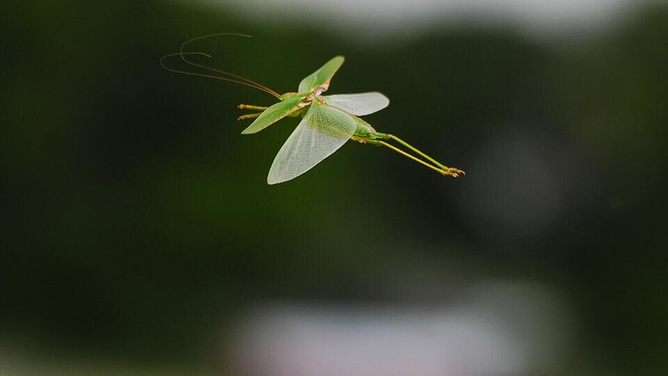 Фото: © ИЗВЕСТИЯ/Эдуард Корниенко