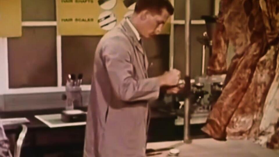 ФОТО: Кадр из программы "Как устроен мир", РЕН ТВ