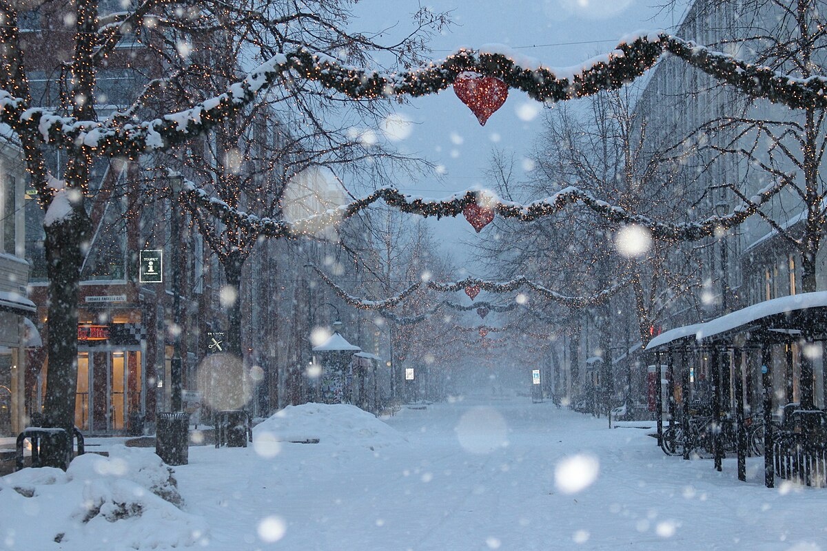 Фото из открытого источника