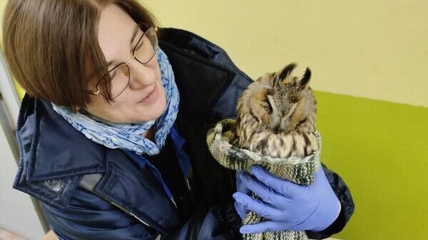    © Photo : Мингоркомприроды