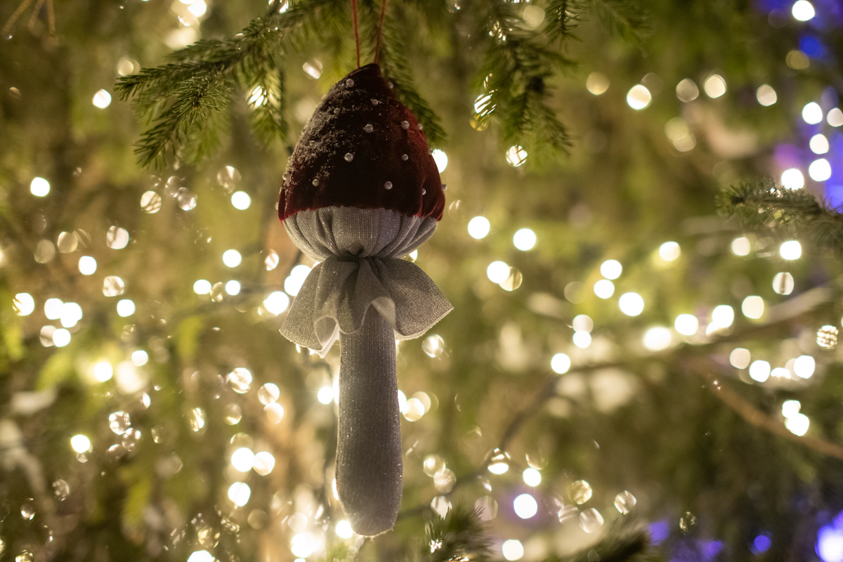 Фото из семейного архива