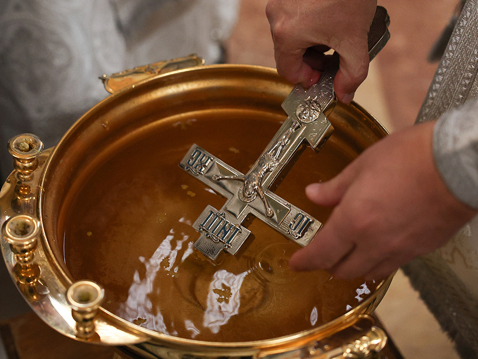    Фото: ТАСС/Виталий Невар