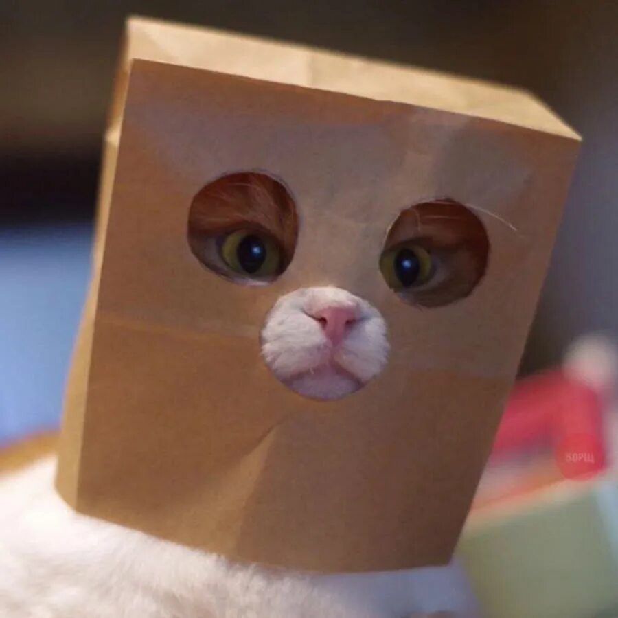 Аноним - источник Яндекс-картинки