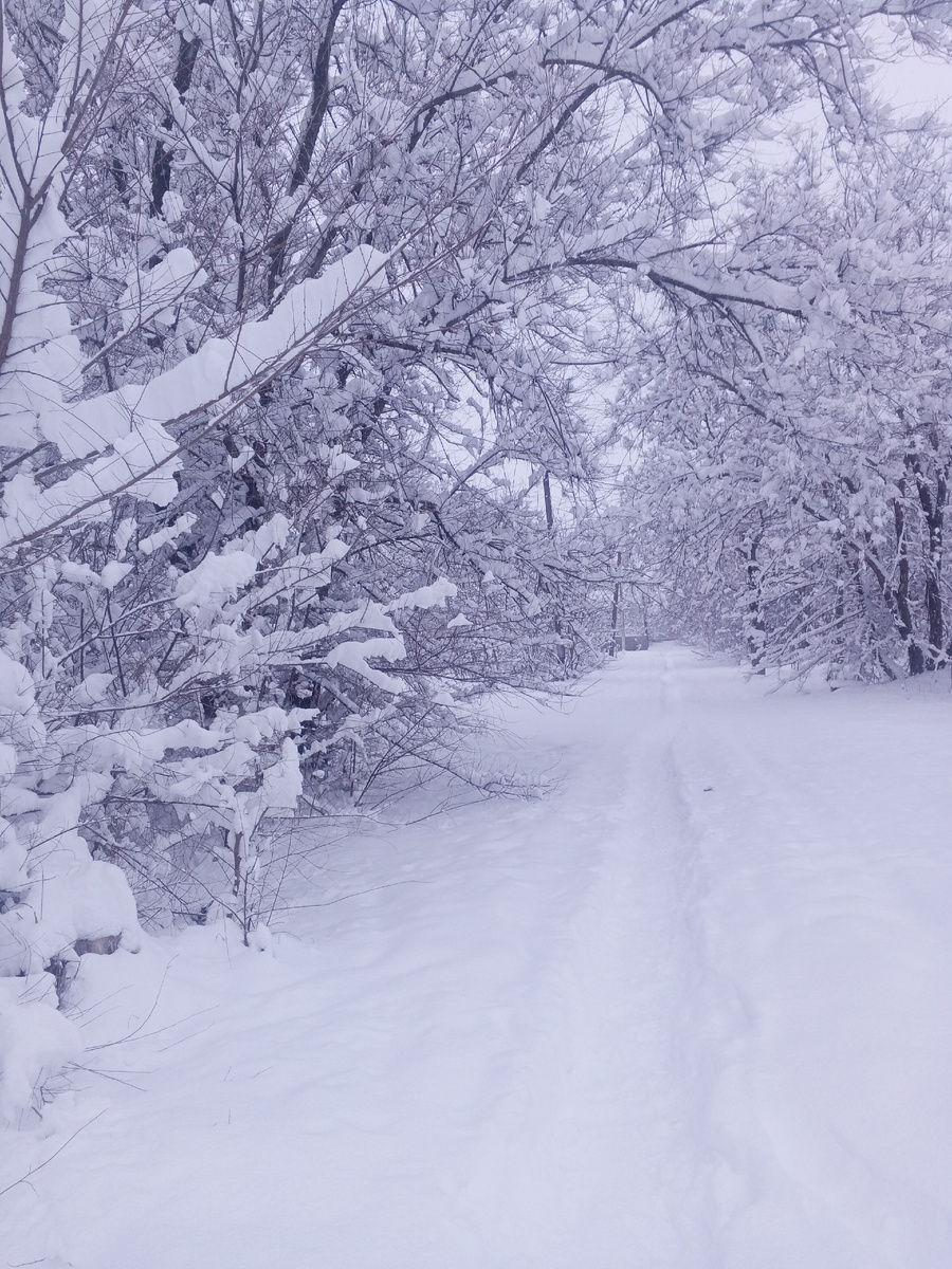 Снежное Ставрополье