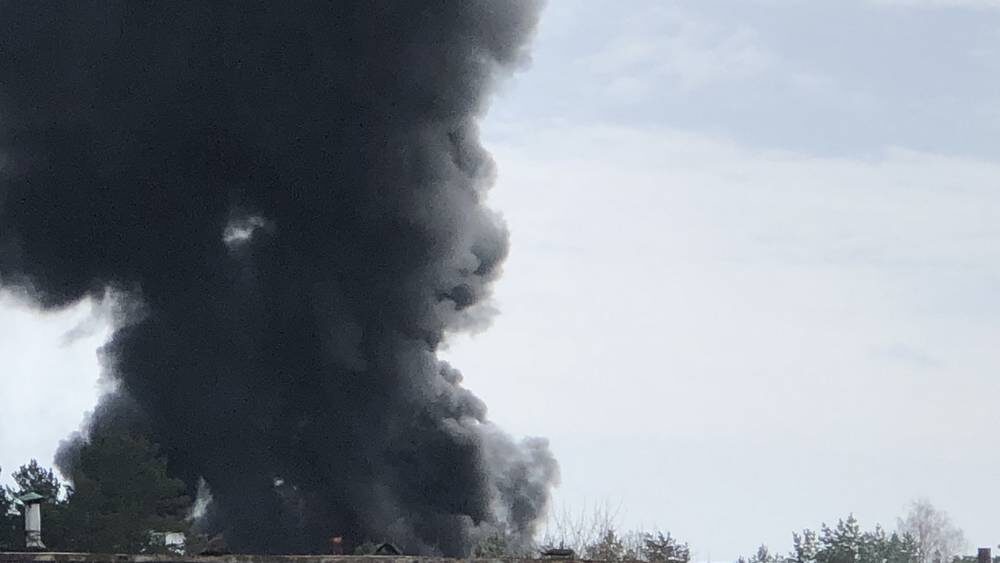    Фото: «Брянские новости»