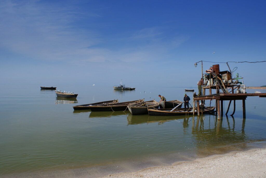    SONY DSC Ирина Коржева