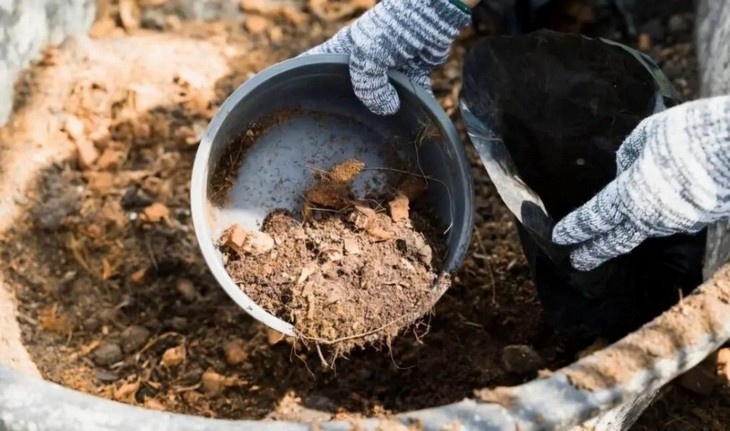    компост Редакция Газеты