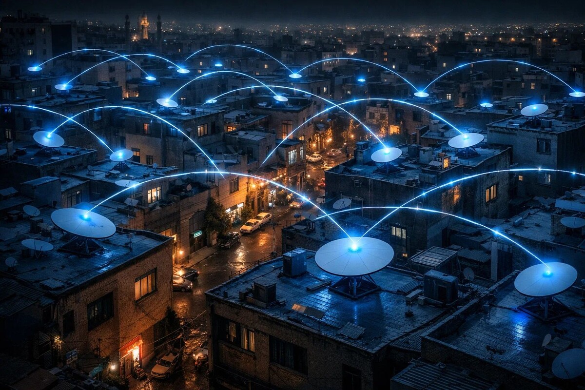    Фото: Коллаж RuNews24.ru