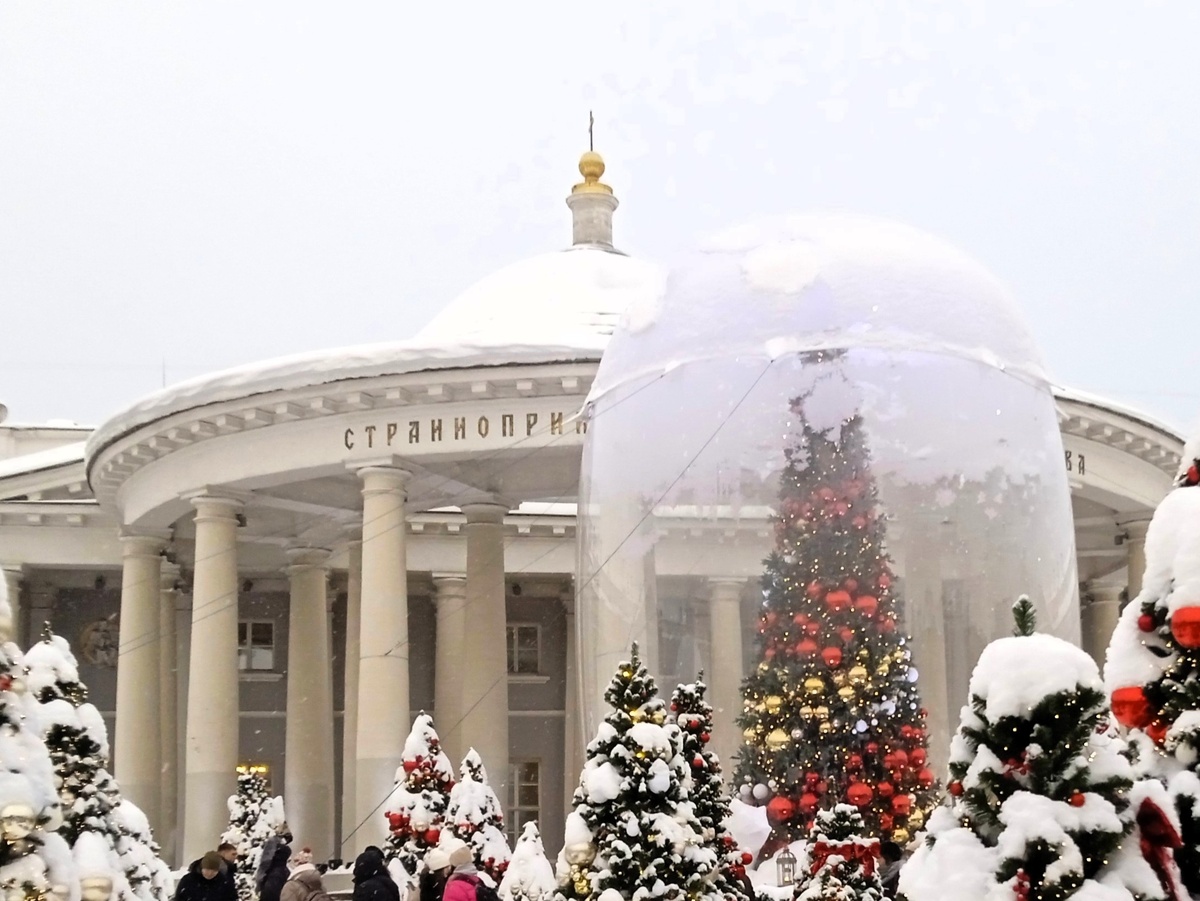 Фотографии авторские 11 января 2026 года.