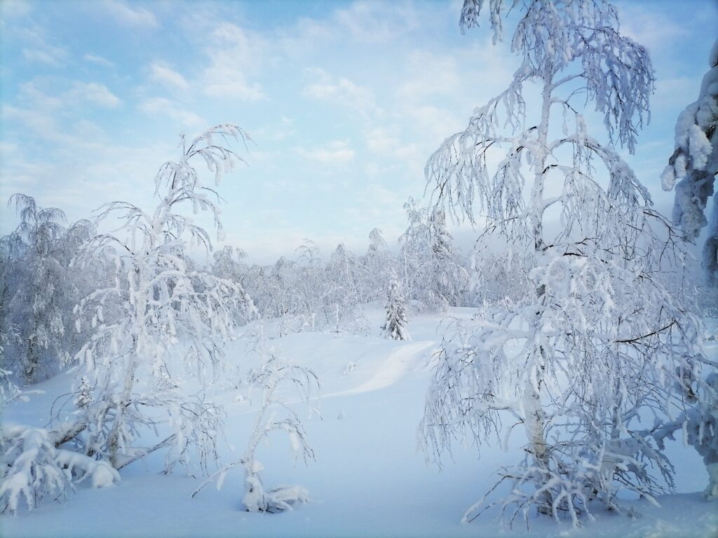    Фото: В курсе.ру Ольга Гилёва