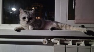    Элина Болдырева Юлия Виноградова