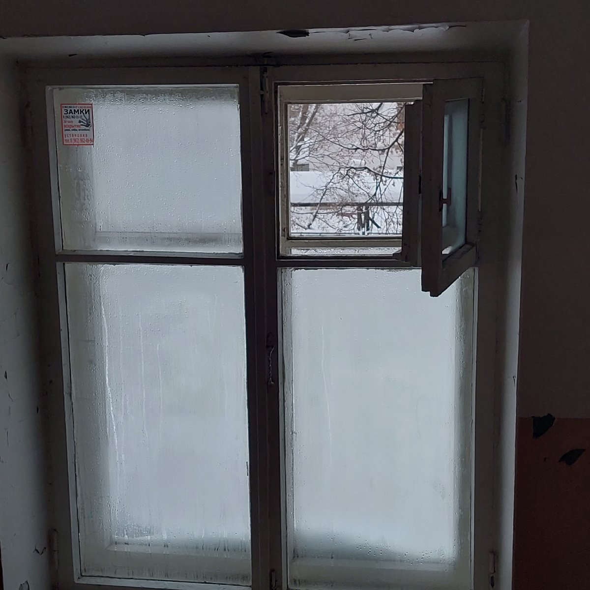 Фото автора.