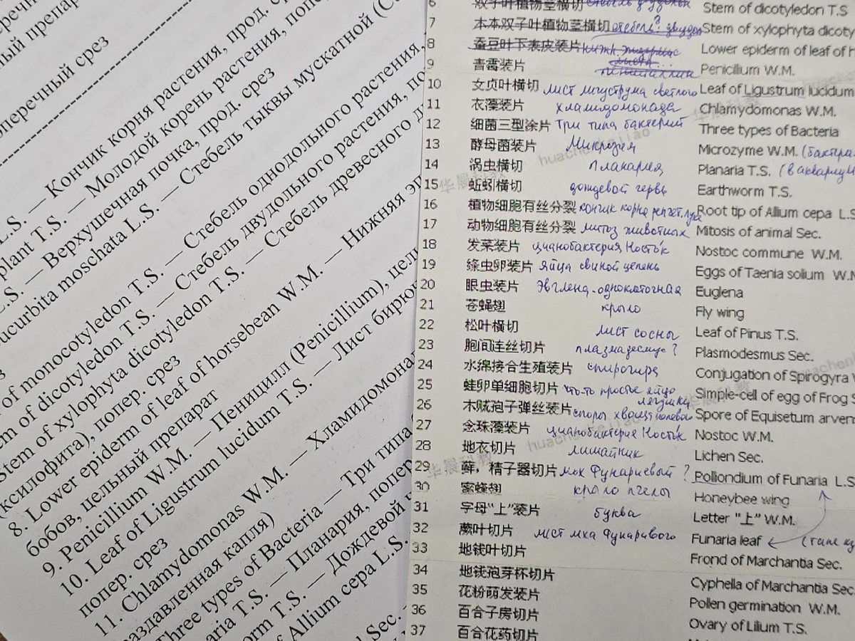 Список микропрепаратов