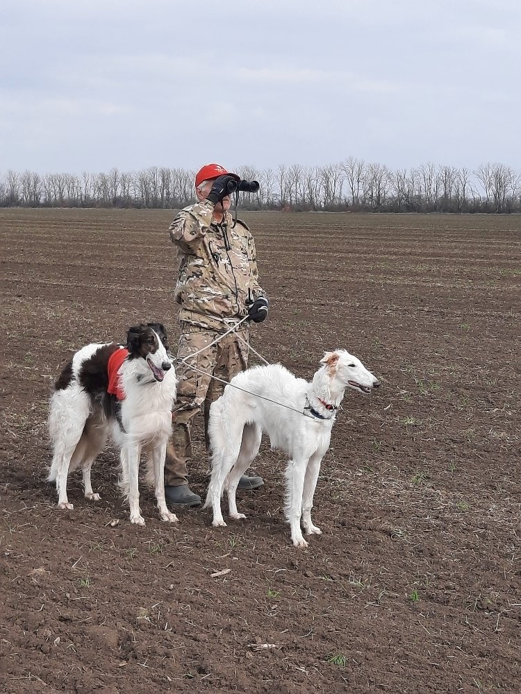 Зайца не видели?