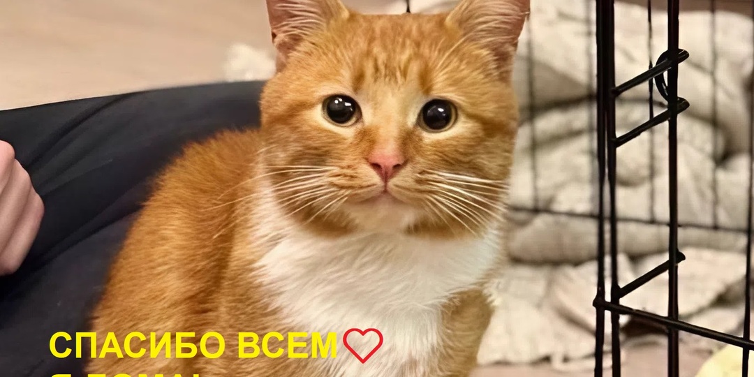 ❤️😍️ХОРОШИЕ НОВОСТИ❤️😍️ Кто уехал домой❓