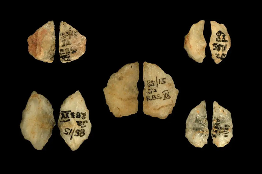     Фото: Marlize Lombard