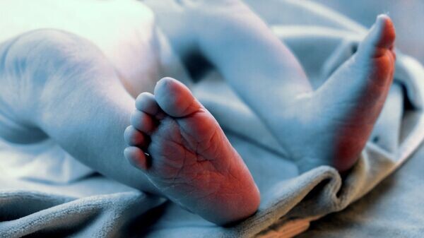    © Sputnik / Павел Львов