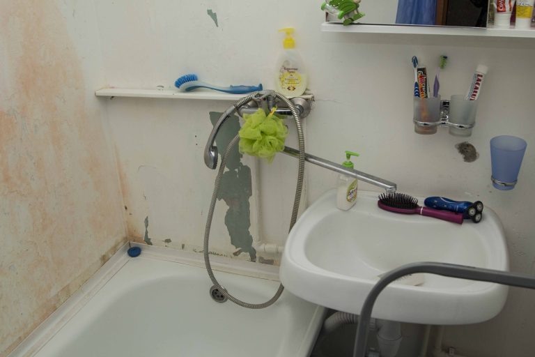    Фото: Общественная служба новостей Ксения Смирнова