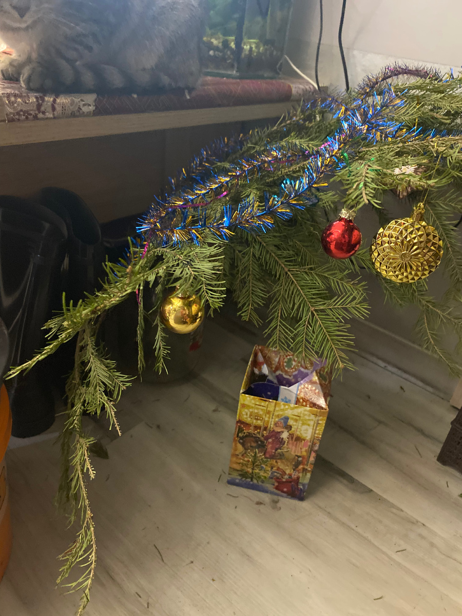 И вот такие елочки принёс мне Артём 🌲 Так что большую к Рождеству наряжал он, а к Старому Новому году я нарядила эти малютки 🎄 🎄 🎄 