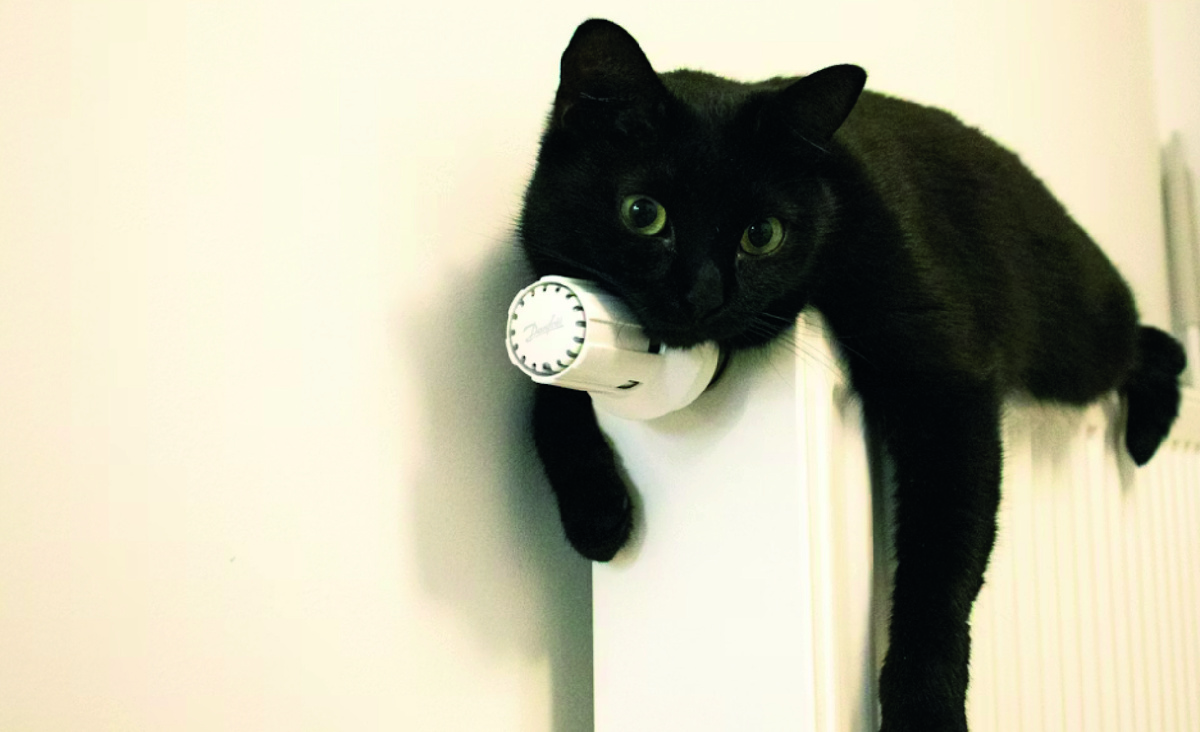 Кот лежит на батарее. Фото - Unsplash.com, Andrey Volk.