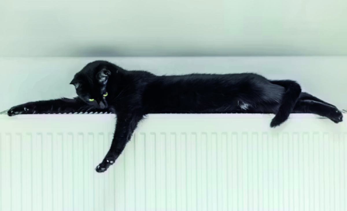 Кошка лежит на батарее. Фото - Unsplash.com, Neven Krcmarek.