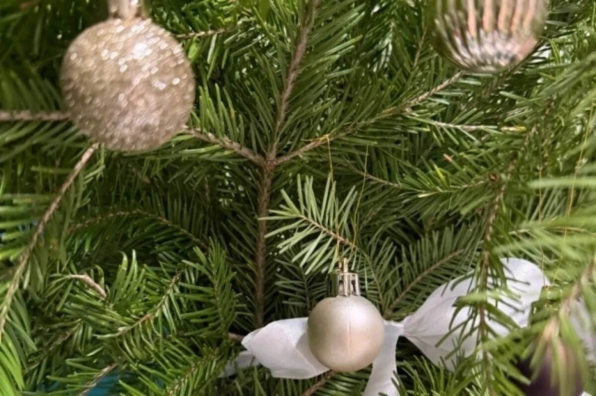    Власти напомнили уральцам, как можно использовать новогодние ёлки