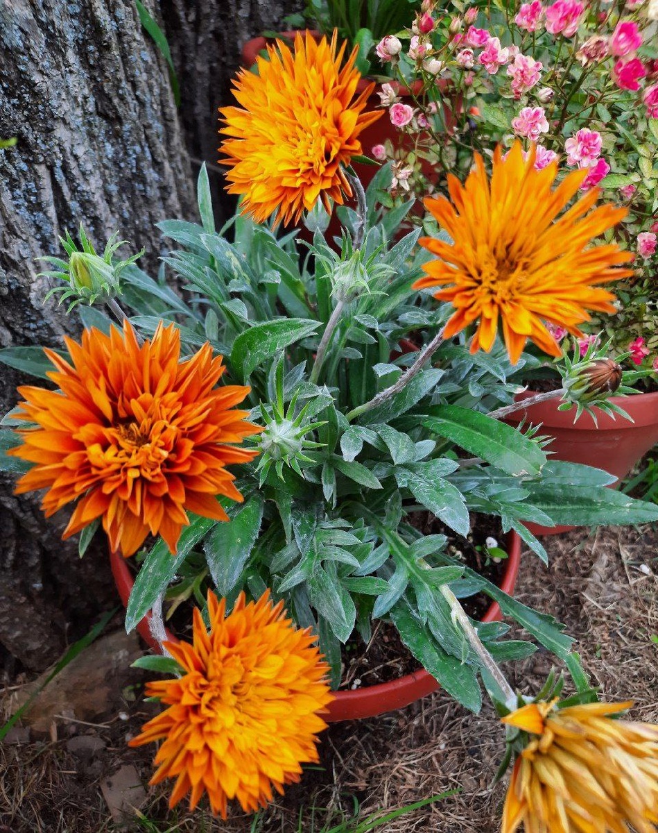 Фото Марии Ткаленко