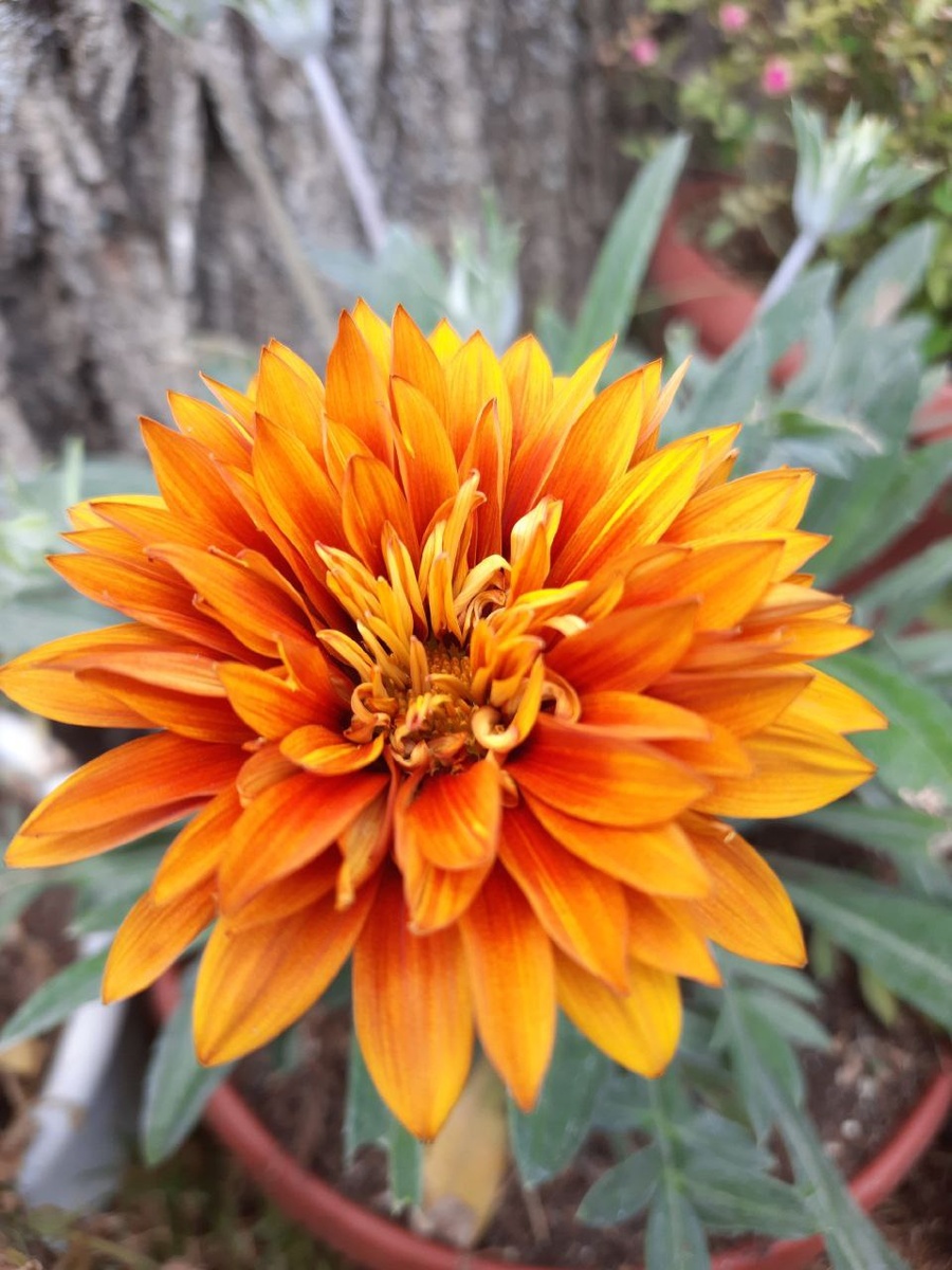 Фото Марии Ткаленко