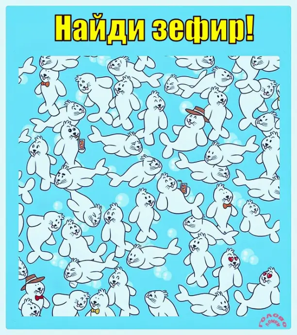 🍡 Найди зефир среди морских котиков за 10 секунд!
