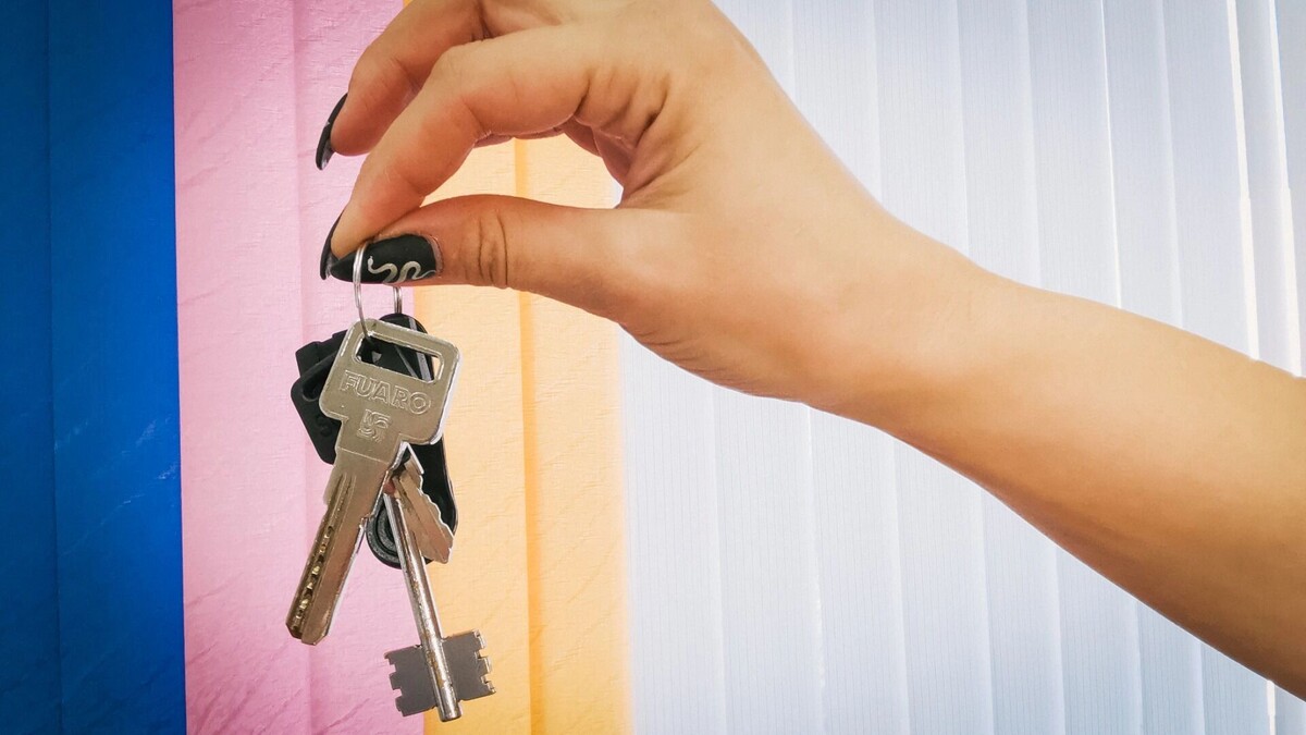    В отношении организатора торгов инициируют проверку   1MI