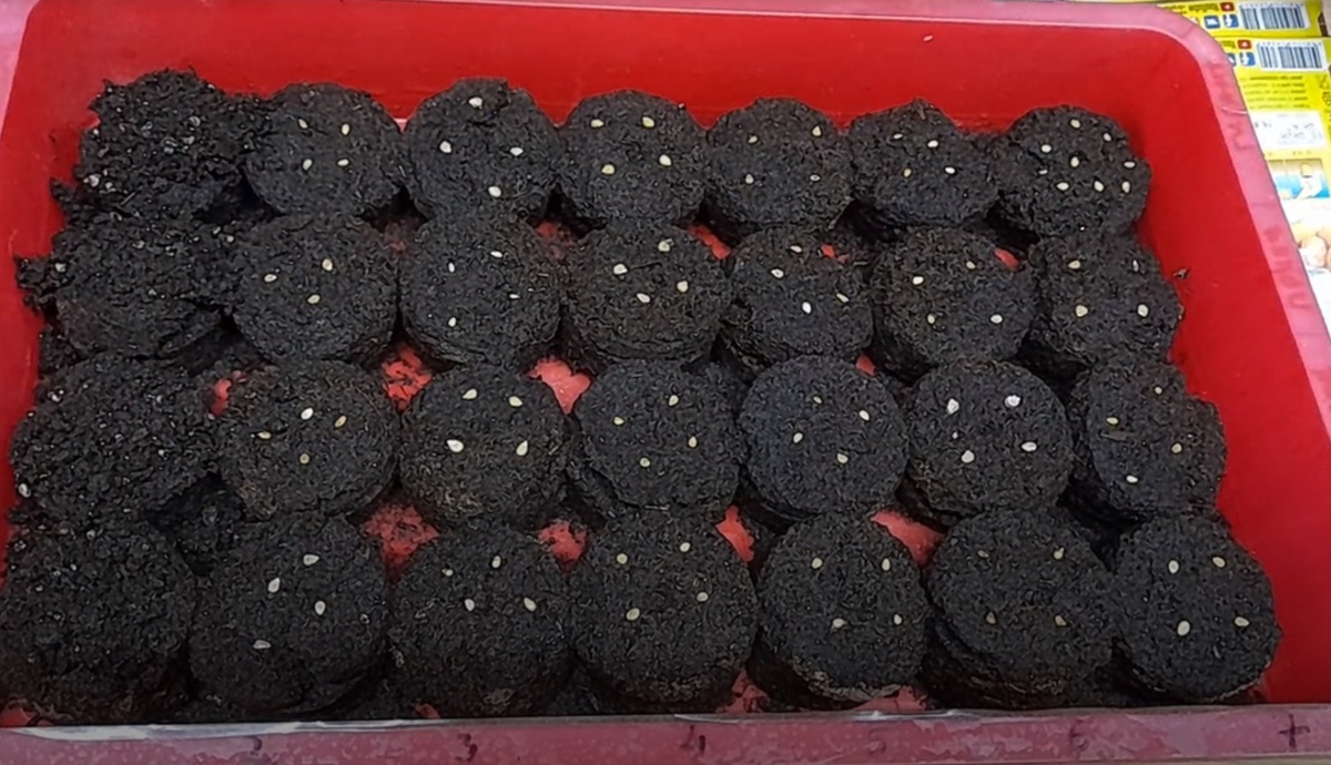 Лунный календарь посева семян томатов в 2026 году: когда сажать помидоры на рассаду в январе, феврале и марте. Фото автора