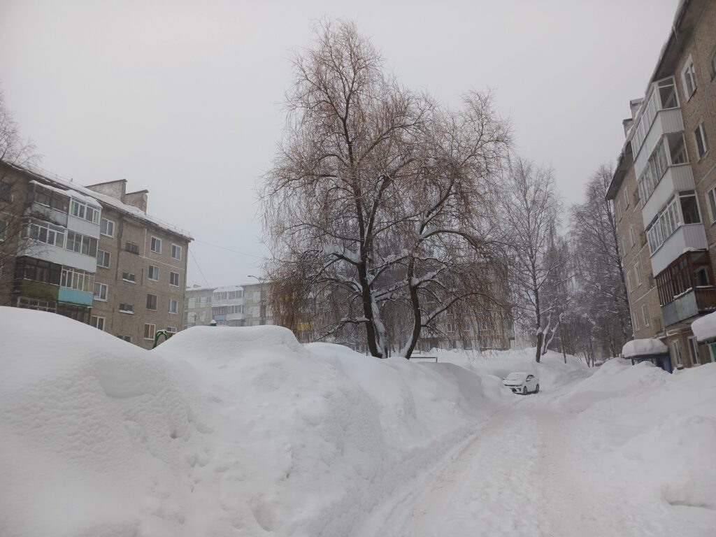    Фото: В курсе.ру Ульяна Бажанова