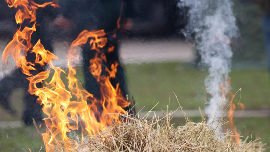    Фото: KazanFirst