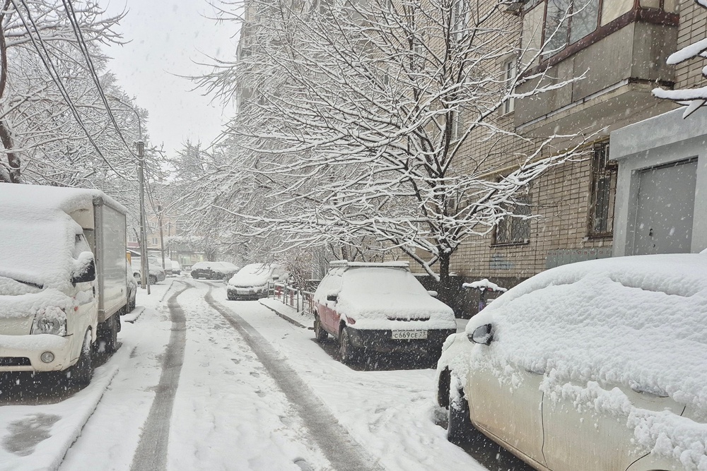    Владимир Аносов/РГ