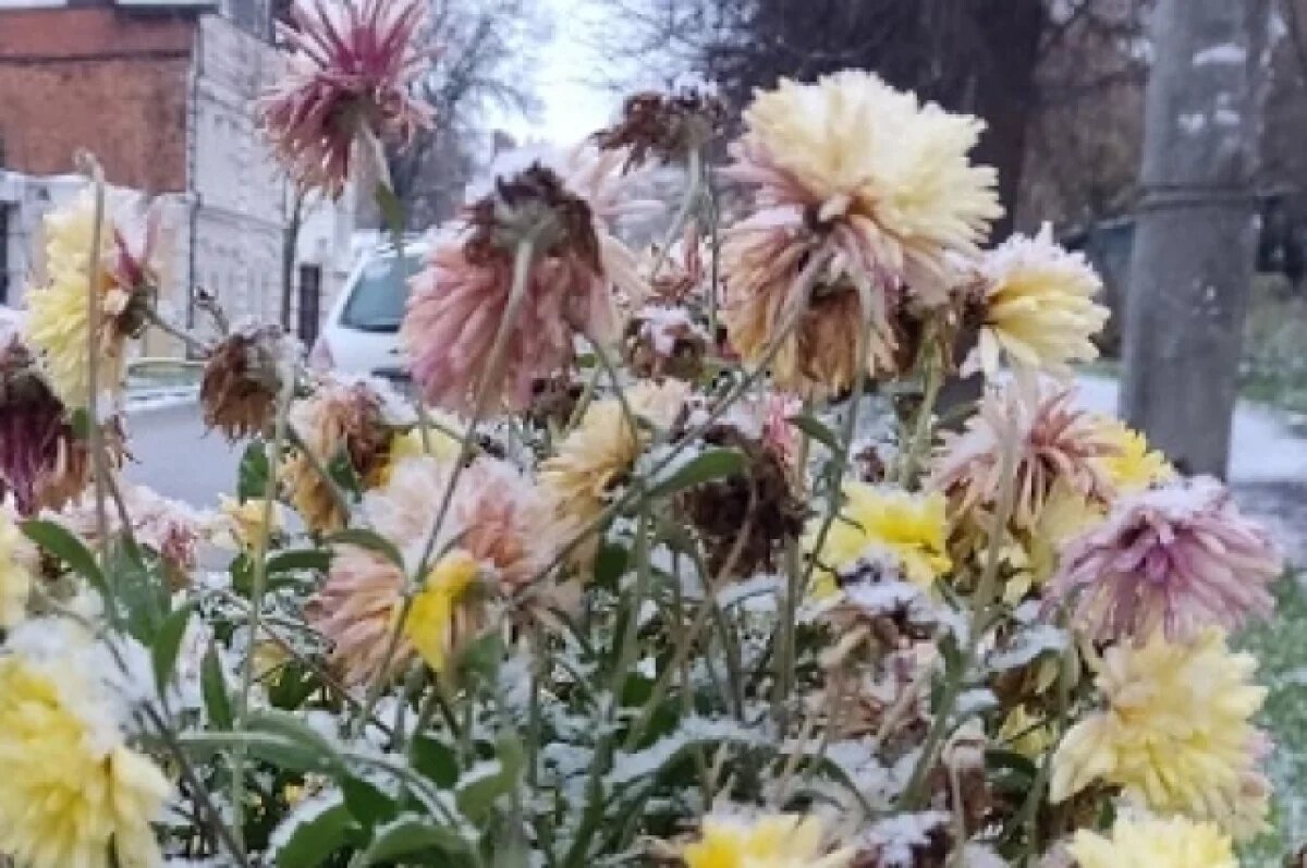    Жителям Калужской области напоминают о пришедших морозах