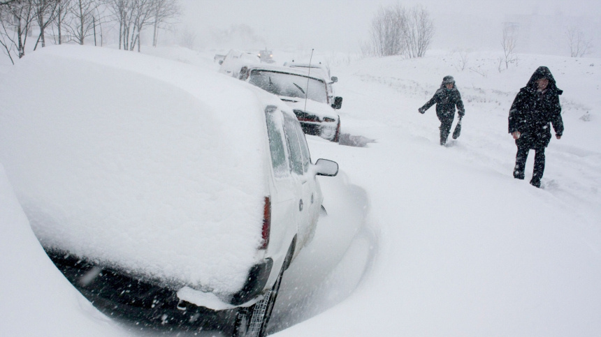    Фото: © РИА Новости/Виктор Гуменюк; 5-tv.ru