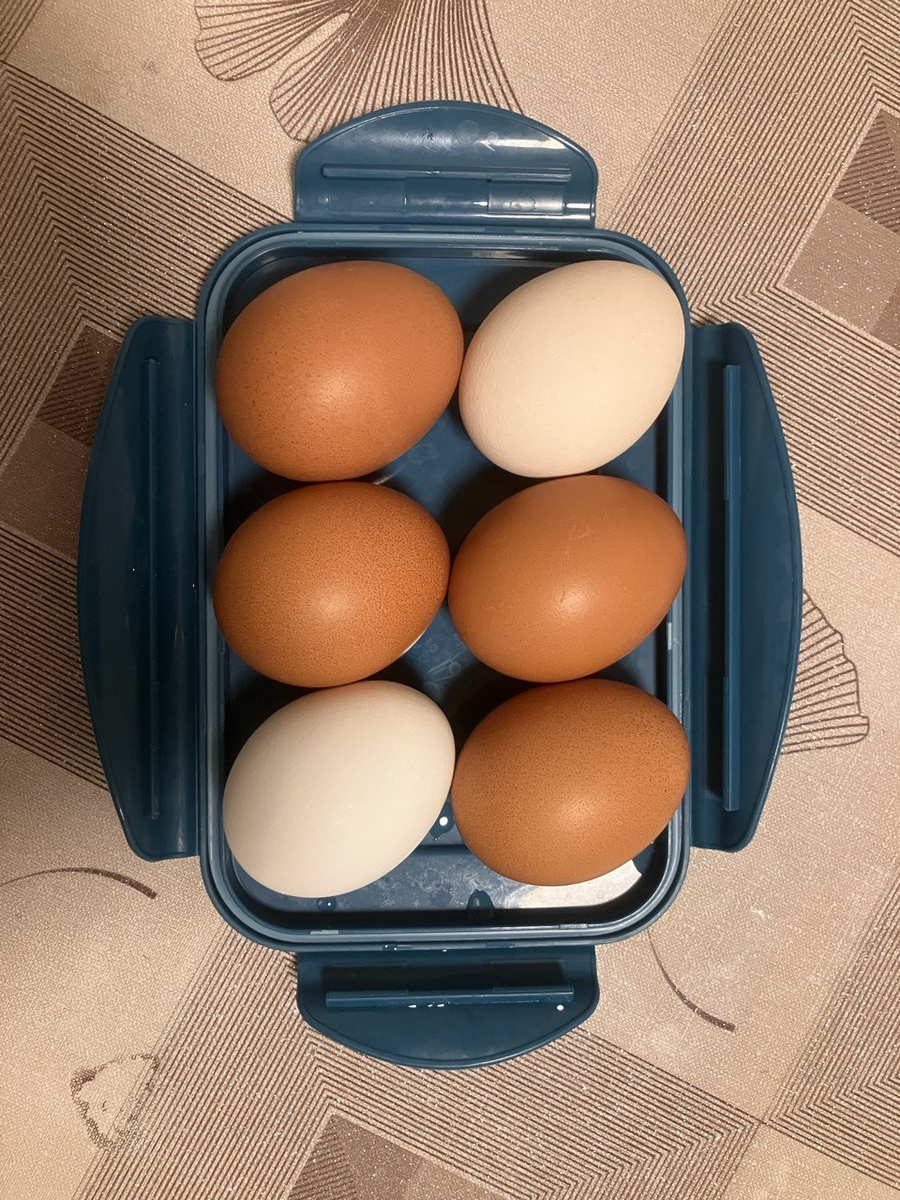 Отвариваем и остужаем яйца