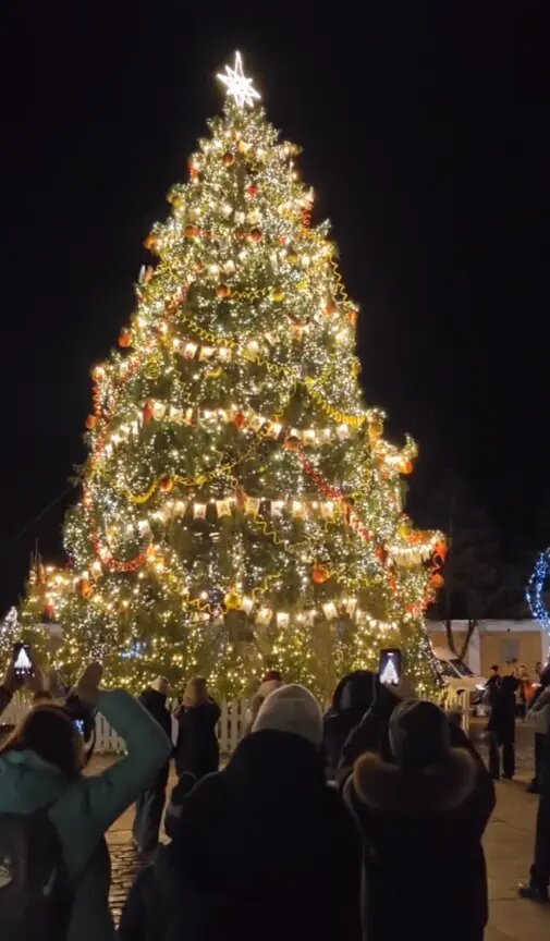    Фото: кадр видео из telegram-канала «Подслушано в Кронштадте»