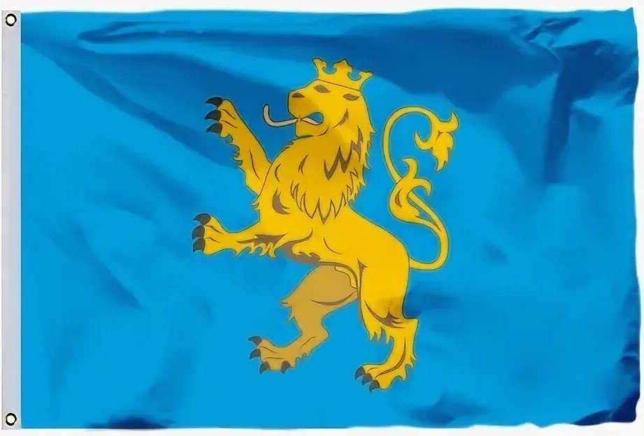 Флаг со львом на голубом фоне.