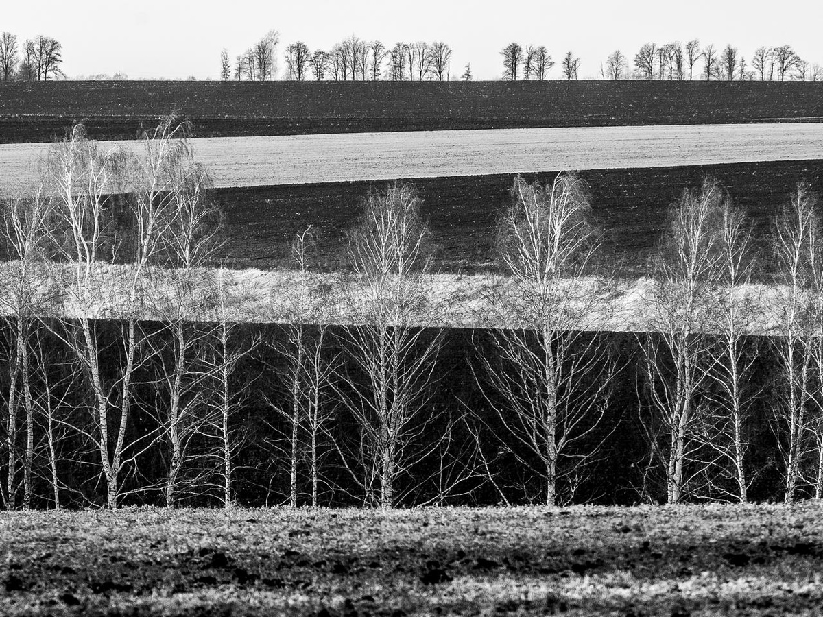 © Фото Евгения Степанова