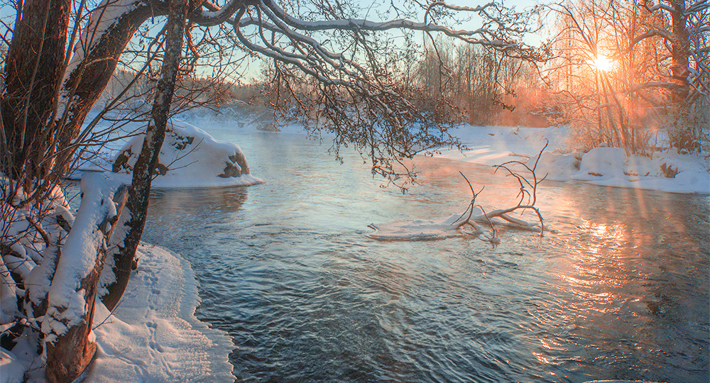 Кадры 2026. Начало