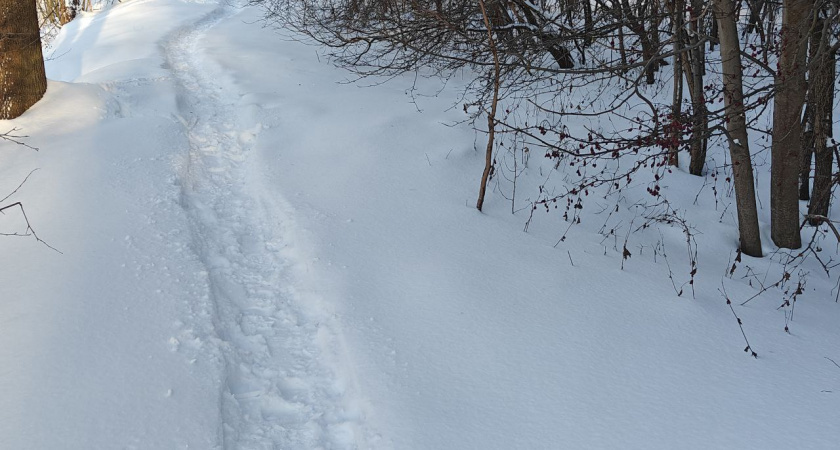    Первый городской канал Калининград