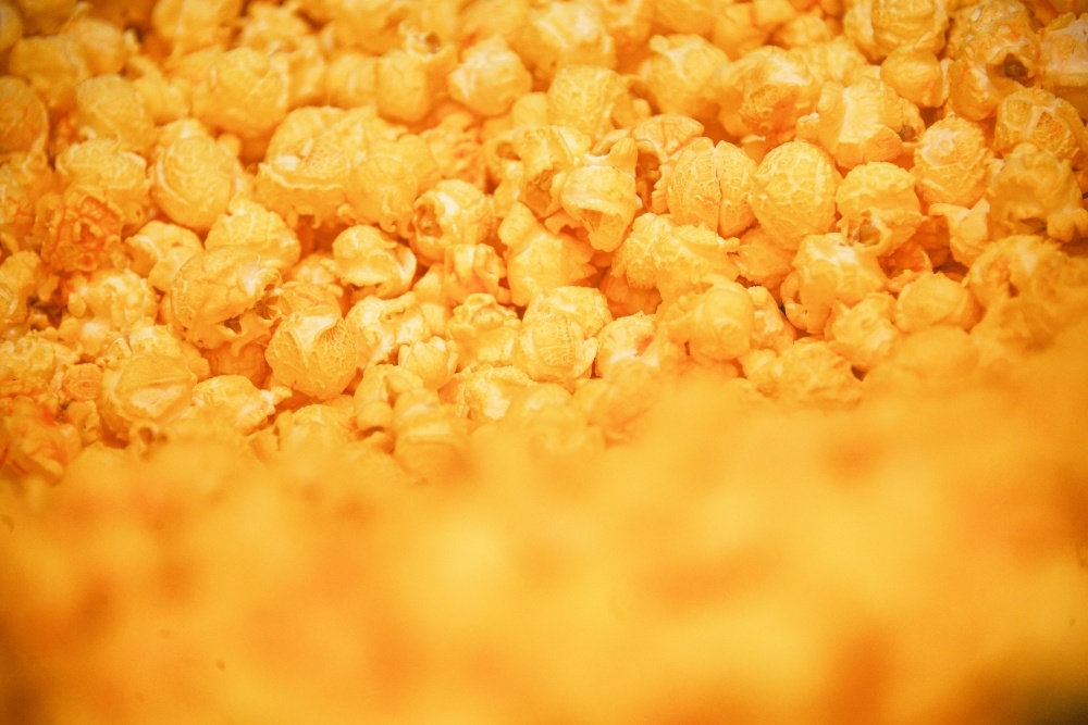    Фото: Евгений Одиноков / РИА Новости