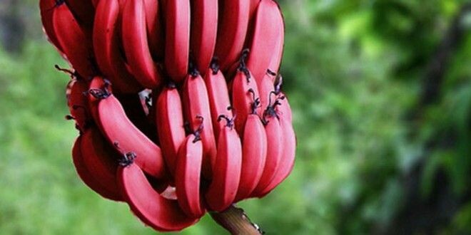 Фотография из интернета