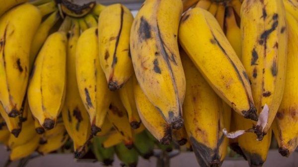 Фотография из интернета