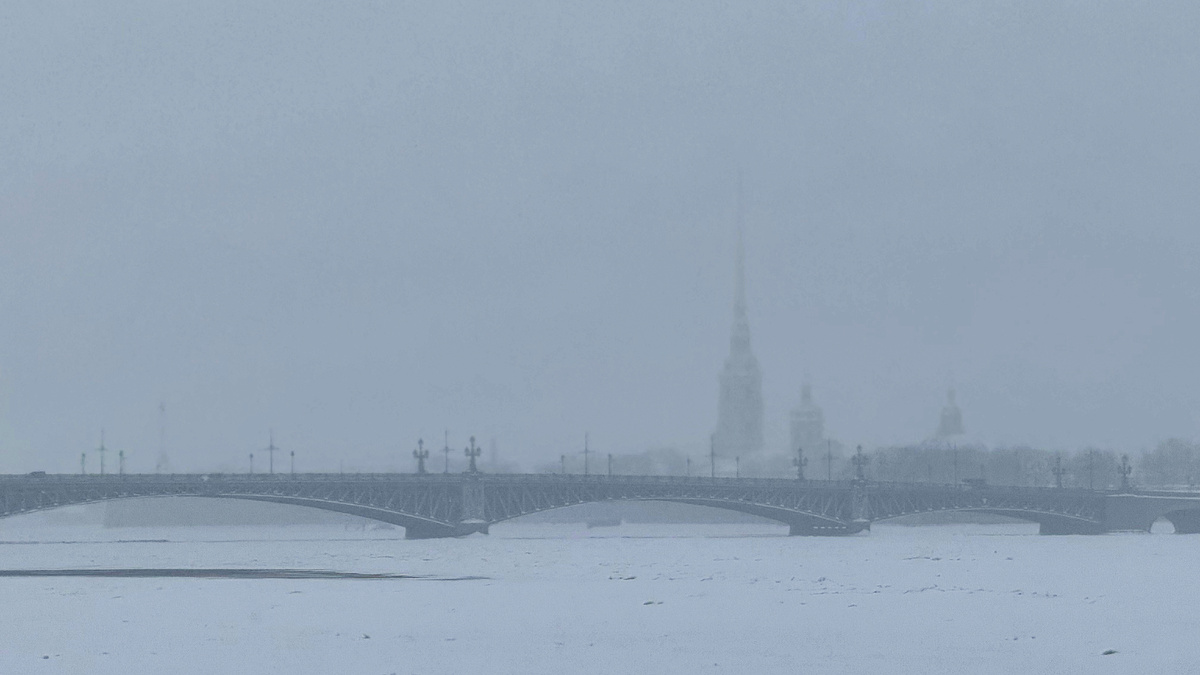 Петербург. Январь 2026 г. Фото автора