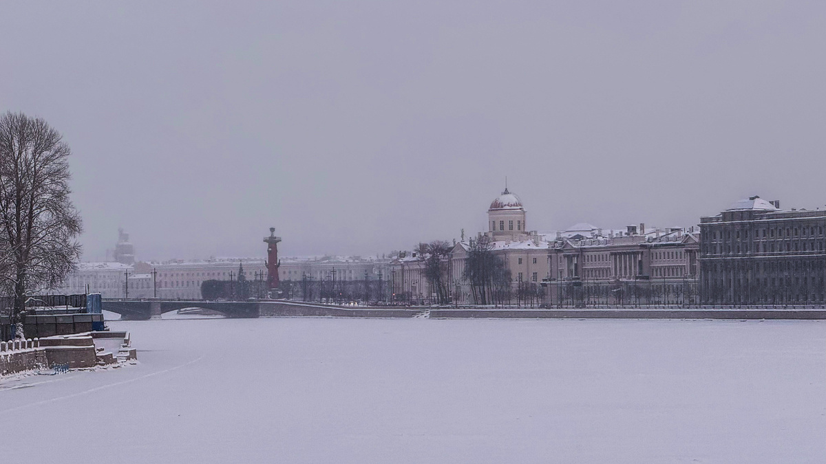 Петербург. Январь 2026 г. Фото автора