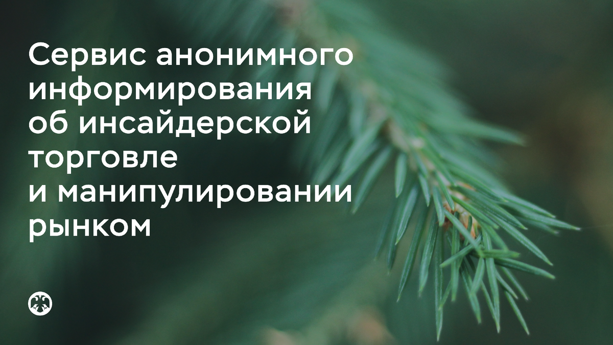 Фото: galactic.whale / Shutterstock