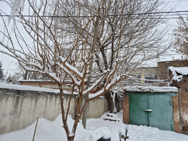 Фото: Виолетта ГАВРИЛЕНКО.