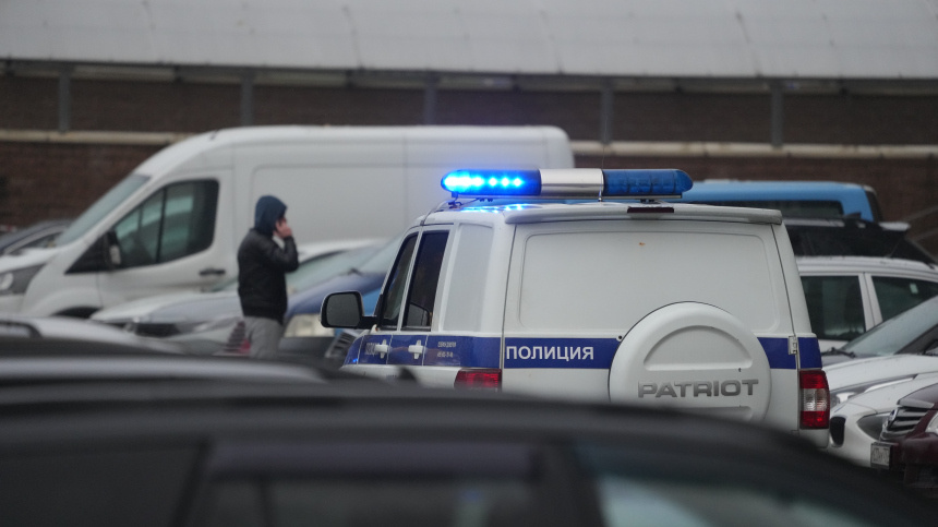    Фото: ИЗВЕСТИЯ/Дмитрий Коротаев; 5-tv.ru